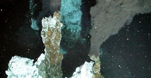 Los investigadores estudian la vida en torno a fuentes hidrotermales, fisuras en el suelo del océano cercanas a áreas de actividad volcánica. Los cangrejos y otras especies se han adaptado a la vida en estas zonas de condiciones extremas. 