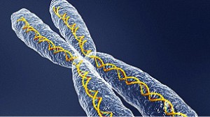 ADN 77 Las compañías de tecnología compiten por desarrollar sistemas de lectura de ADN más rápidos, eficientes y baratos.