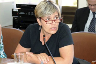 fries1 "Hemos entregado la información a Carabineros y hemos exigido que se hagan sumarios internos", dijo Lorena Fríes.