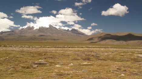 Cordillera 2