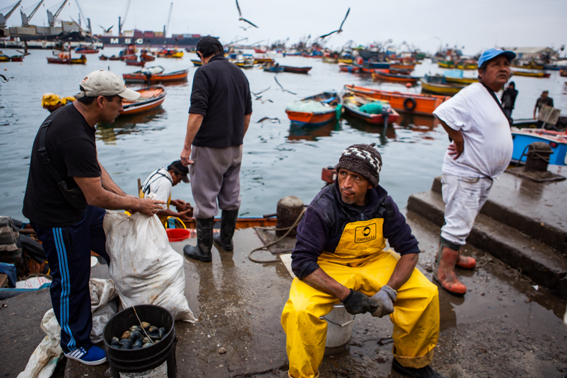24 de Septiembre de 2015/ARICA  Los pescadores  y publico del puerto de Arica continuan con la misma tranquilidad cotidiana tras el fallo del tribunal de  La Haya.  FOTO: FELIPE MUENA/AGENCIAUNO