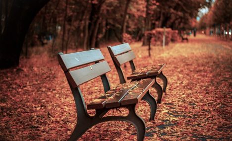 ¿El otoño afecta el estado de ánimo? ¿Cómo podemos cuidar nuestra salud mental?