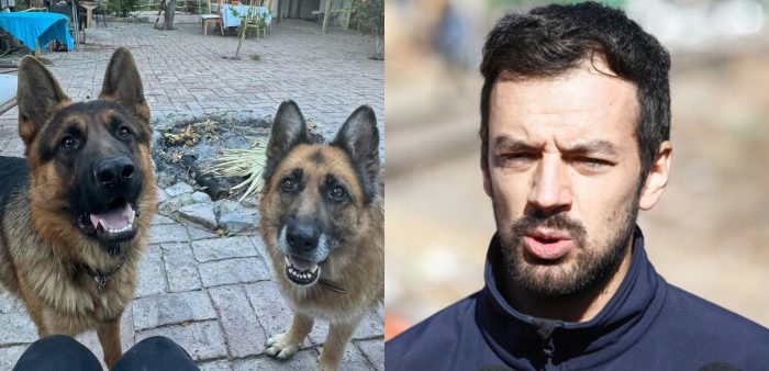Alcalde Tomás Vodanovic denuncia que envenenaron y mataron a sus dos perros