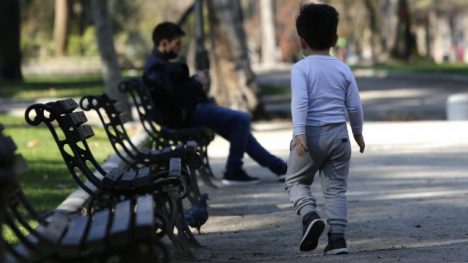 El rol de los curadores en los tribunales de familia: ¿nombramiento simbólico o de protección?