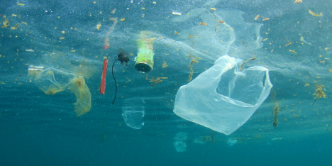 Contaminantes invisibles: hacia un consumo informado y seguro