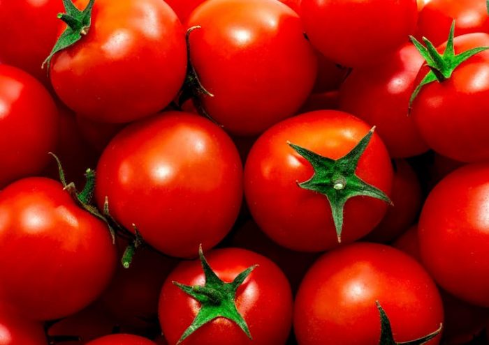 ¿Por qué los tomates ya no saben como los de antes?