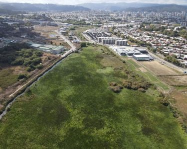 Conflicto de intereses: la otra arista de la polémica por proyecto inmobiliario en humedal Paicaví