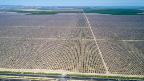 Un enorme plantío de pistachos en el Valle Central de California, ahora la mayor región productora del mundo.