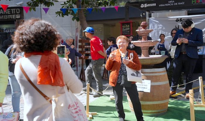 Día Nacional del Vino 2026 reunirá a 20 viñas del Valle del Maipo en el centro de Santiago