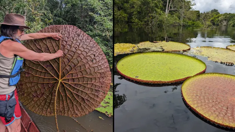 La espectacularidad de la Victoria colombiana desde distintos ángulos.