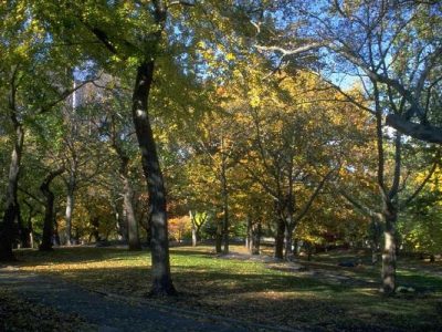 Chile recibió esta mañana al otoño: primeras nubosidades aparecerán este fin de semana