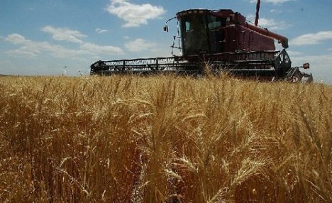 El cambio climático baja el rendimiento mundial de los cultivos, incluso con adaptaciones
