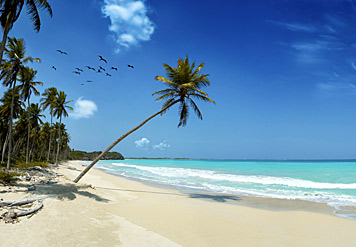 Cancún, República Dominicana y Jamaica encabezan rescate turístico del Caribe