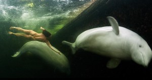 Mujer beluga 2