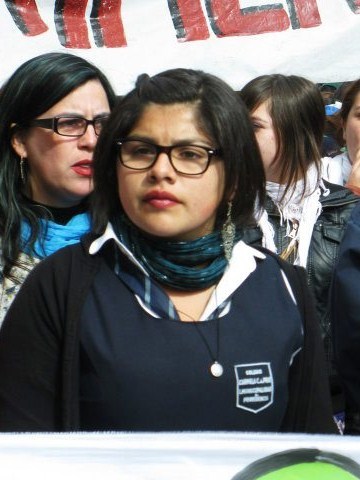 La vocera de las alumnas del Liceo Carmela Carvajal, Danae Díaz, cuenta que prácticamente todos los líderes de los establecimientos de la comuna están sin matrícula. “En el fondo esto es un intento por descabezar al movimiento”, dice. 