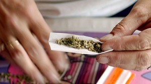 El Estado uruguayo propone tener el control de la producción y la distribución del consumo interno de marihuana.