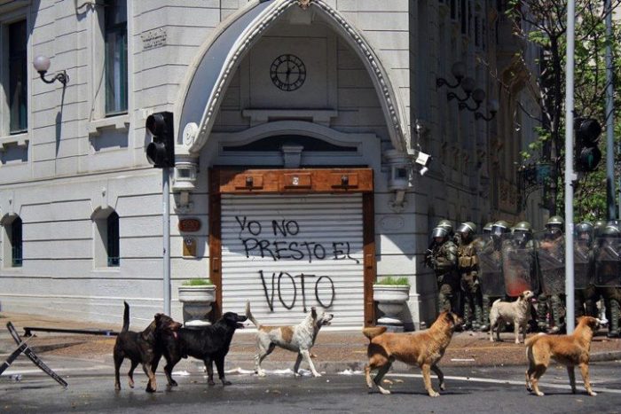 Yo no voto… ¡y qué!