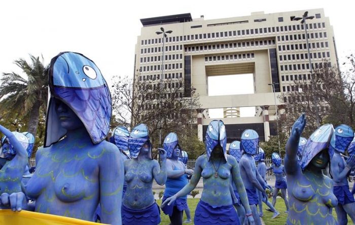 Activistas de Greenpeace protestan con cuerpos pintados contra la nueva Ley de Pesca