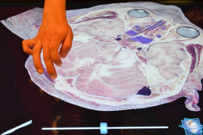 Un tablet gigante para estudiar el cuerpo humano