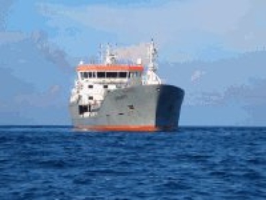Armada confirma rescate de tripulantes de pesquero chino que sufrió incendio en la Antártica