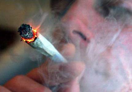Una feria on line para los amigos de la cannabis