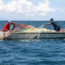 Trabajadores pesqueros denuncian falta de protección laboral y social «por culpa de Longueira»