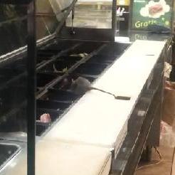 Video: captan a ratón comiendo en mesón de local «Subway»