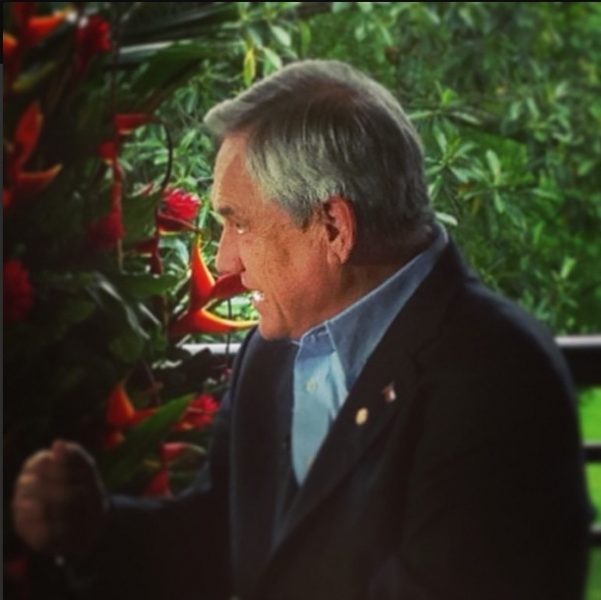 Presidente Sebastián Piñera estrenó nueva cuenta de Instagram