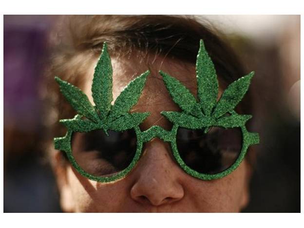 Chilenos marcharán este sábado por la despenalización del autocultivo de marihuana