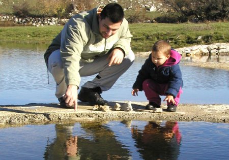 Promulgan ley de custodia compartida para hijos de padres separados