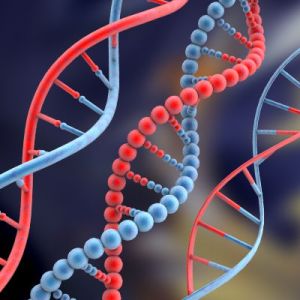 Tribunal Supremo de EEUU determina que genes humanos no pueden ser patentados