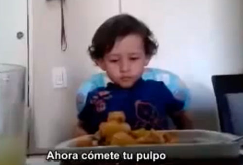 El video del niño «animalista» que la rompe en las redes sociales