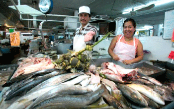 Advierten sobre altos índices de mercurio en pescados para el consumo humano