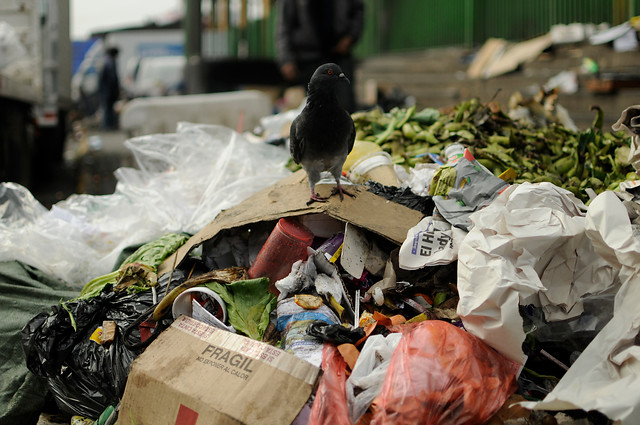 Con la basura hasta el cuello: sigue paro de recolectores y gobierno responsabiliza a los municipios