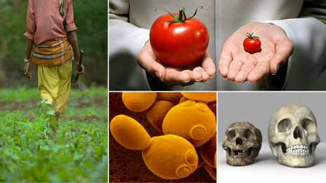 Cinco ideas para alimentar al mundo en el futuro