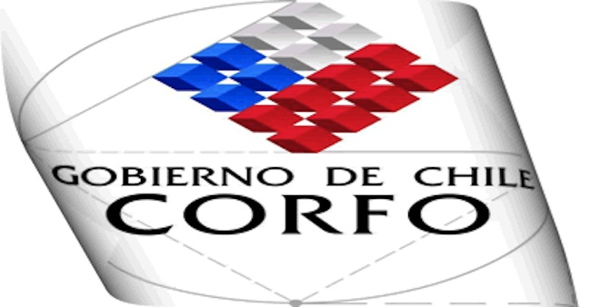 Caso Leasing Chile: Corfo se querella por 8 delitos en contra de asesor de ministerio de Educación, Carlos Marín Larraín