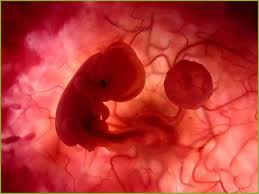 Caso de niña de 11 años embarazada por violaciones de su padrastro reaviva debate sobre aborto terapéutico