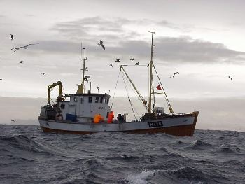 Empresa multada por malas prácticas recibe asignación de cuotas por parte de la subsecretaria de Pesca