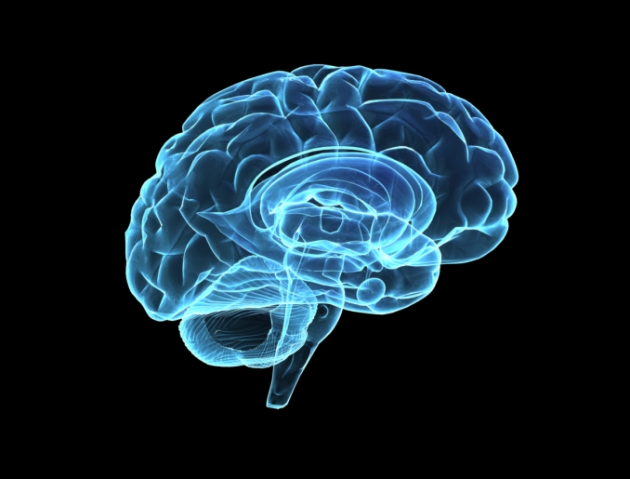 Una «ventana al cerebro» para tratamientos neurológicos