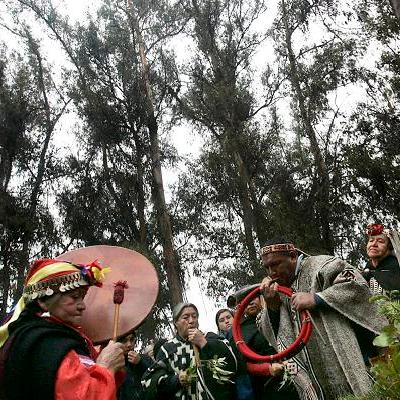 Comité de la ONU pide a Chile acelerar la restitución de tierras a indígenas