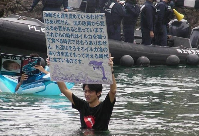 Comienza la temporada de caza de delfines en Taiji y activistas se movilizan para impedir nueva masacre