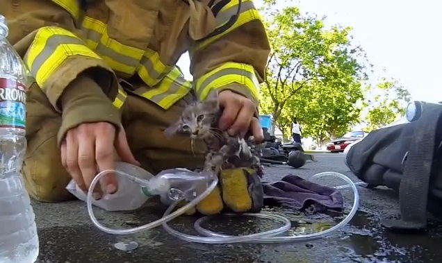 GoPro utiliza para promorcionar su marca video de un bombero que rescató a un gatito de un incendio