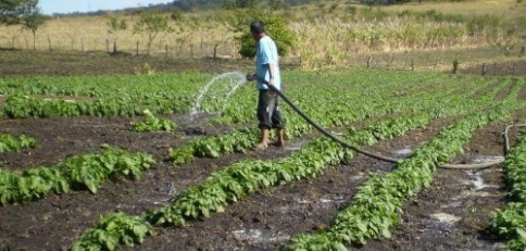 Piñera decretará emergencia agrícola en algunas comunas de la RM