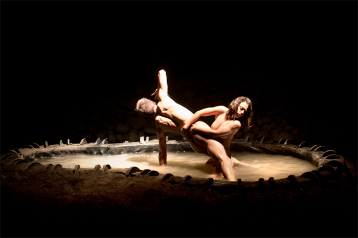 Estrenan montaje de danza contemporánea basada en obra de Stella Díaz Varín