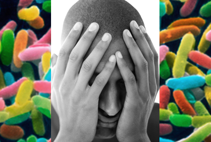 Psicobióticos: bacterias para curar enfermedades mentales