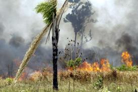 Aumenta a 8 el número de muertos en accidente de avión en amazonía de Bolivia
