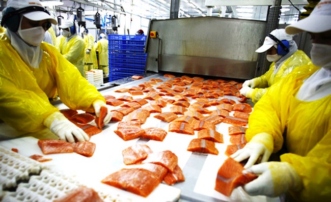Industria del salmón, cuando el barrio no da lo mismo