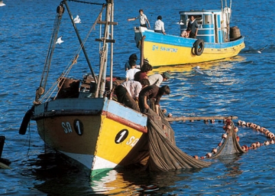 Trabajadores pesqueros impugnan en Contraloría reglamento que regula Fondo de Administración Pesquera