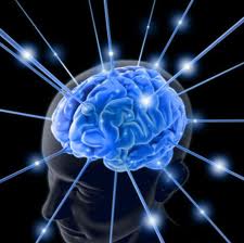 El Nobel de Medicina: «El cerebro es un órgano mágico y extremadamente complejo»