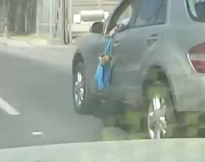 Video: Formalizan a hombre que llevó a dos cachorros colgando por la ventana de su auto